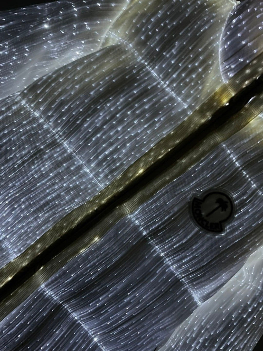 Luminous Down Jacket