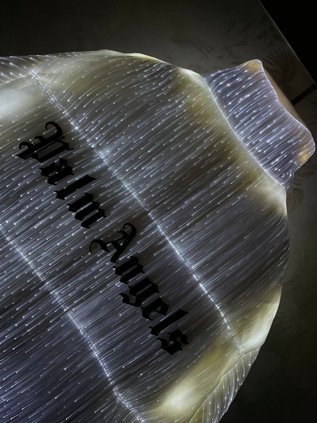Luminous Down Jacket