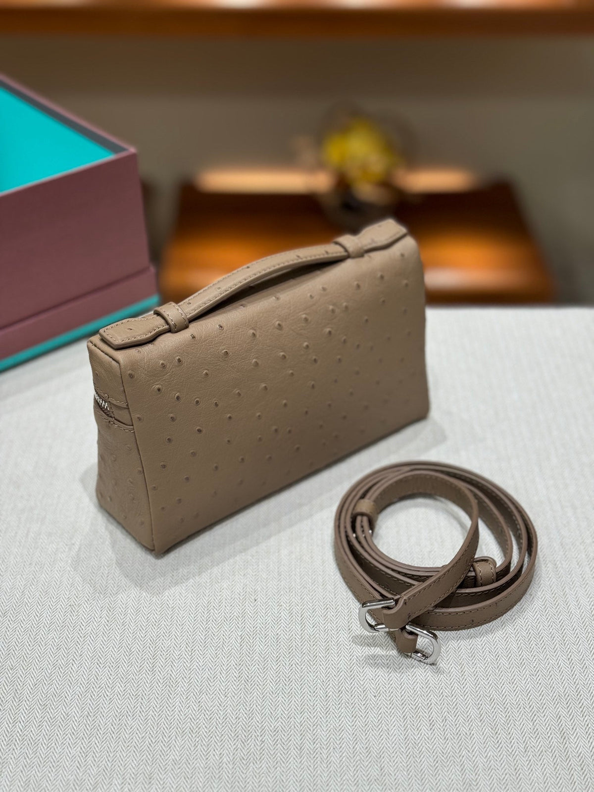 Loro Ostrich Leather Clutch 19